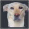 nikosxx-