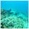 Giorgos_N_6143
