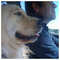 Yannis_Triantafyllou3279
