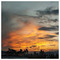 Argy_ro6224