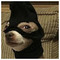 Andreas_Temponeras
