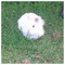 Annies_Vlogs