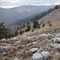 Anastasis_Parastatidis