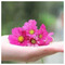 Anna_Var3366