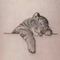 Athina_Kouimtsidou1818