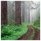 Konstantina_Christopoulou9238