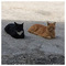 Fotis_Papageorgiou3414