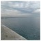 Dimitris_Anagnostopoulos2146