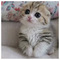 PhilippPlayz_1