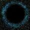 risc_page