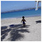 Disa_Ramo