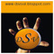 DSVS