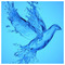 Vagiannis_Koukoutas
