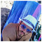 basilis_xenius