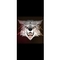 Jack_Ronet
