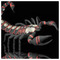 Mauros_Scorpios