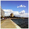 akis_papoulias9795