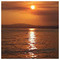 giannis_nikolopoulos8033