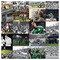 lampros_liontos2211
