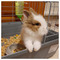 demy_katrakou