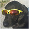 panos_s_google_account