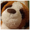 DAVID_DAVID4510
