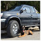 Torelli_Andrea_Dog_Academy