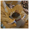 Korina_Papadopoulou1544