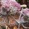 Andreas_Efstathiou7533