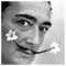 tasos_alafakis4414