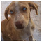 Xristos_Rigas5315