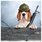 Skylisia_Zoi___Doggy_Life
