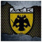 yellow_black_eagle_21
