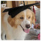 thekla_acha1193