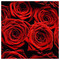 Lena_Varsou6375