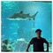Antonis_Liarma8776