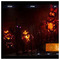 Dimitris_Stavropoulos3106
