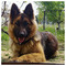 Giannis_Triantafillidis7503