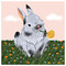 Rania_Kav