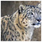 Maria_Miliou9708