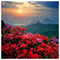 Ioanna_Fotopoulou6206