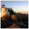 APOSTOLOS_PASCHALIDIS4924