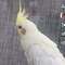 ramy_ramona33
