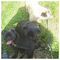 Pam_Wilkinson