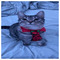 Gozalo_Theos