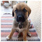 Despoina_CHarisi8811