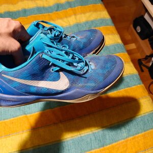 Nike Kobe 8 Protro Low Basketball Shoes White FJ9364-100