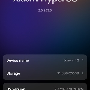 Xiaomi 12 5G (8GB/256GB)
