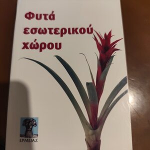 Φυτά εσωτερικού χώρου