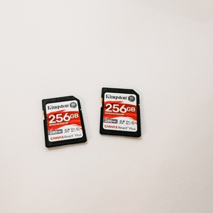 Kingston Canvas React Plus V60 SDXC 256GB U3 V60 UHS-II